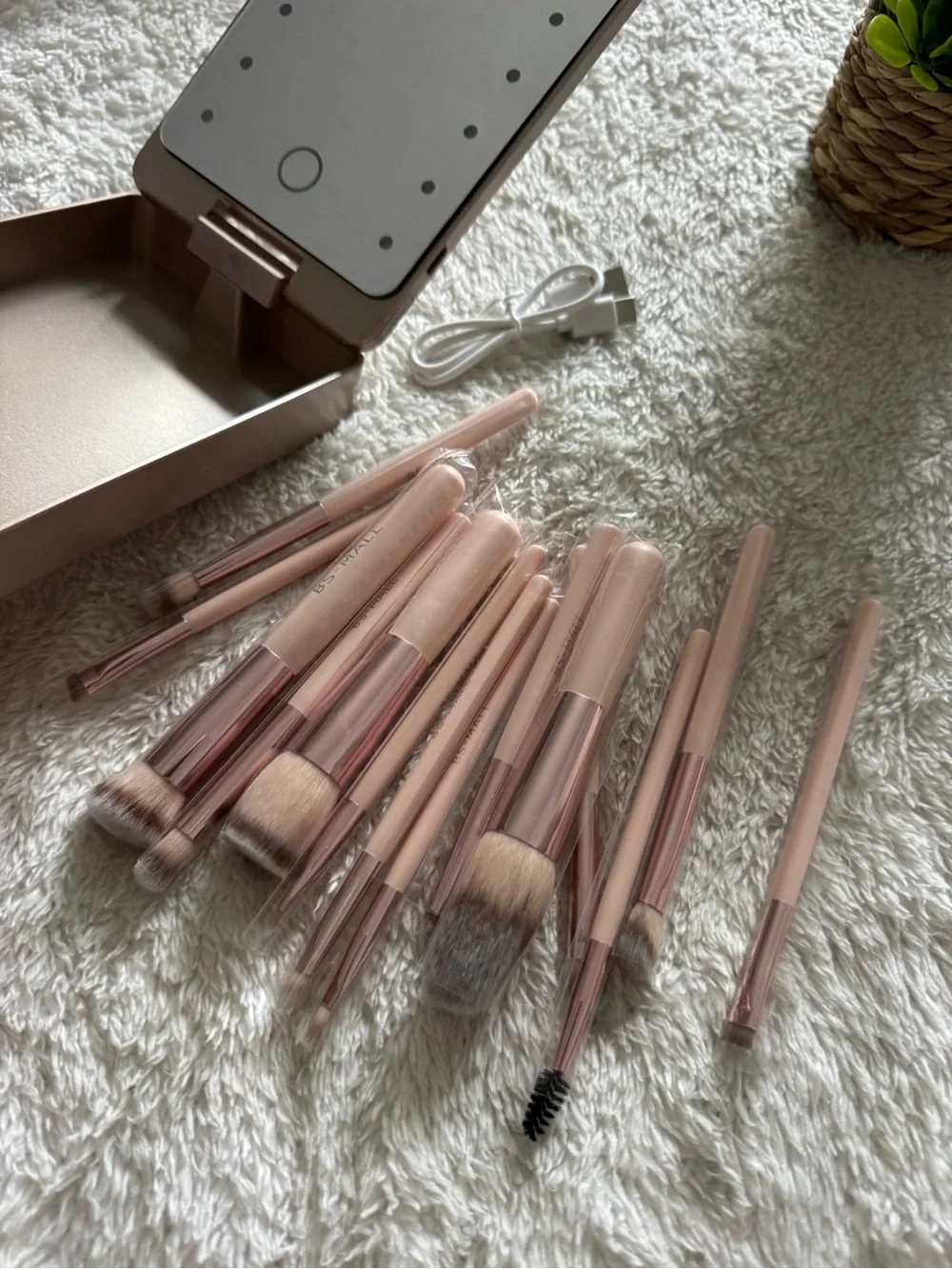 Blush Pink Portable Storage Case with Matching Brush Set